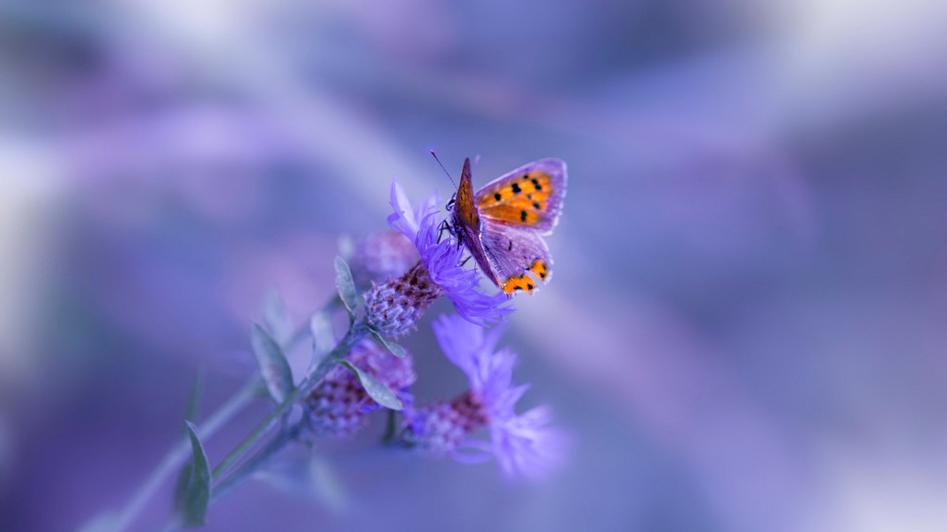 体育赛事合作营销策略,体育赛事营销方式