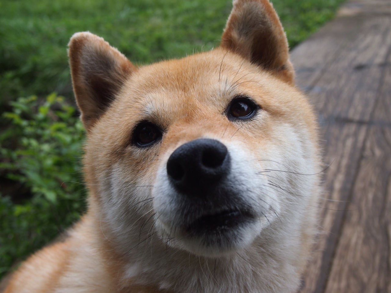 赛季交锋：超级对决中的历史性时刻，超级对战吧