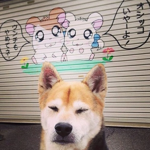 “2025世界运动会：湖滨赛场成为极限运动盛宴”