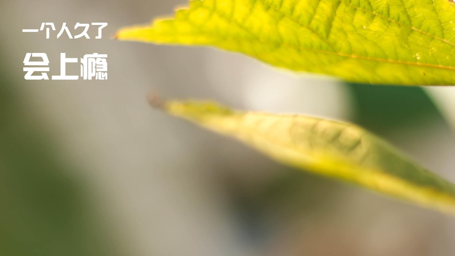 中国男篮重视海外拉练拓展国际视野，为提高男篮大赛成绩,给中国男篮支招,切实可行的建议!