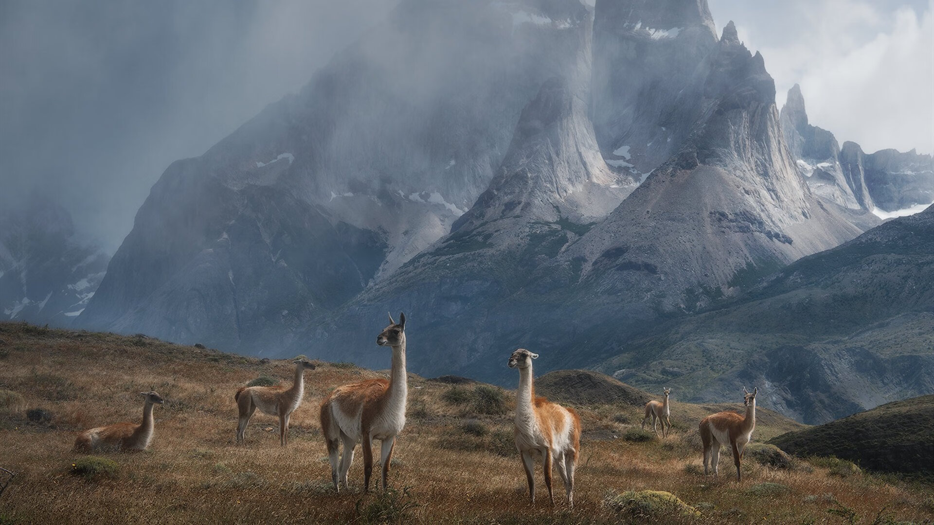 国家队长期不集训导致协作能力下降