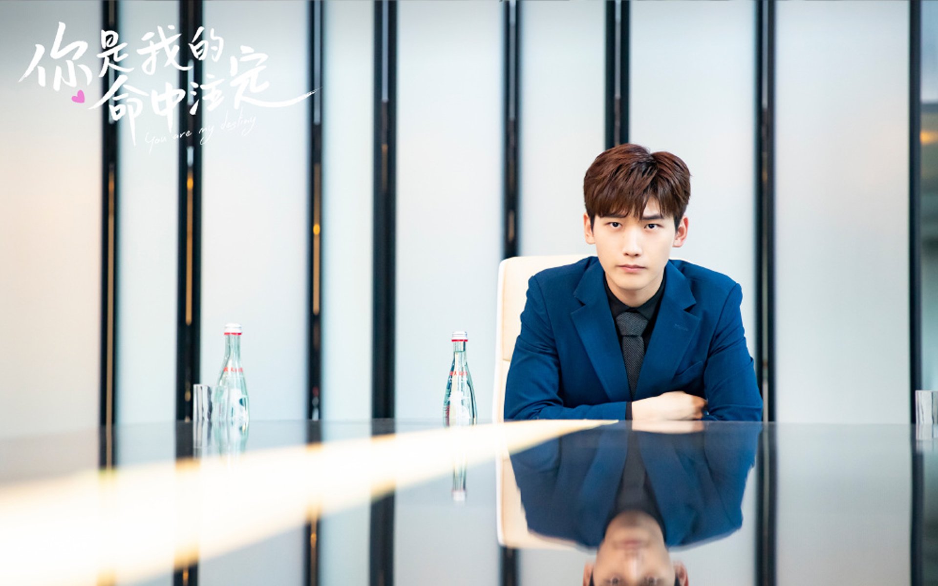 球迷文化日益成熟CBA赛场气氛逐步回暖，cba篮球文