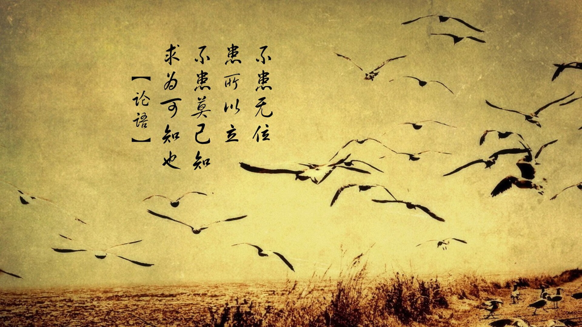 球队是否通过压缩空间控制节奏避免比赛崩盘,足球应用了压缩空气的原理