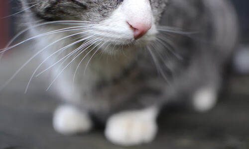 九游娱乐登录-节奏控制能否成为赛季平稳提升的核心标签，节奏控制方法