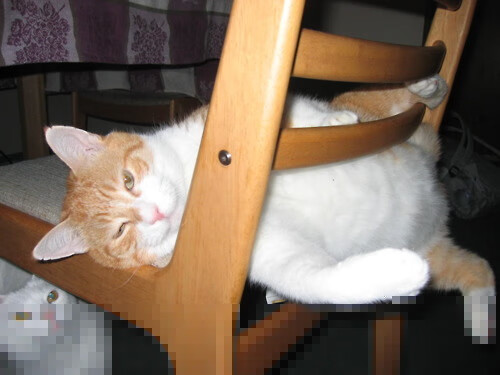 九游官网入口活动-全国篮球教师培训制度逐步建立提升基层教学质量，教师篮球培训方案